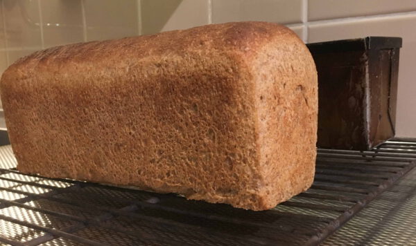 Tarwemeel Grofvolkoren
